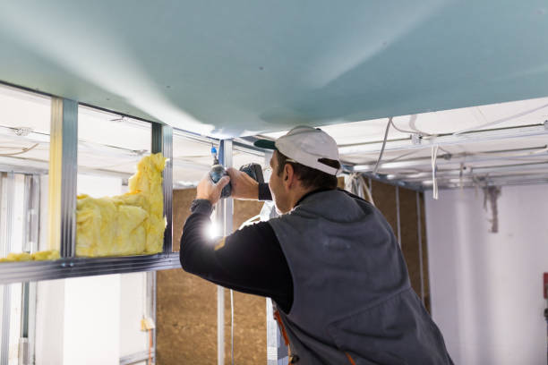 Best Spray Foam Insulation  in Pleasant Hills, PA