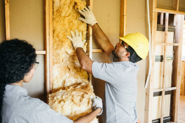 Best Insulation Inspection Services  in Pleasant Hills, PA